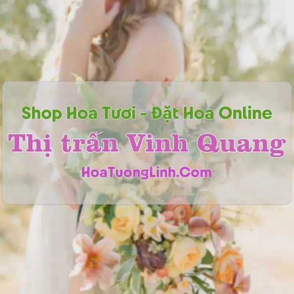 Shop Hoa Tươi Thị Trấn Vinh Quang - Hà Giang