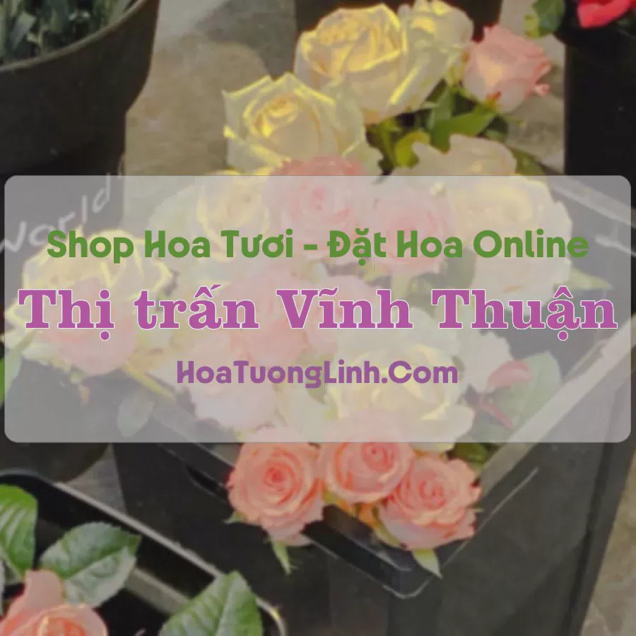 Shop Hoa Tươi Thị Trấn Vĩnh Thuận - Kiên Giang