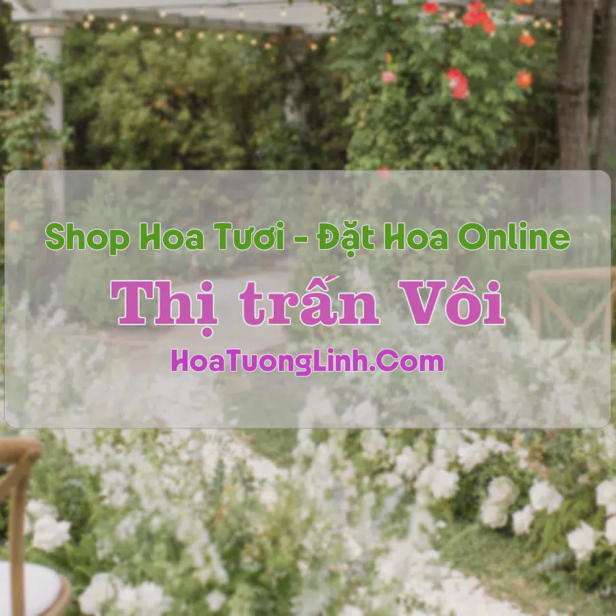 Shop Hoa Tươi Thị Trấn Vôi - Bắc Giang