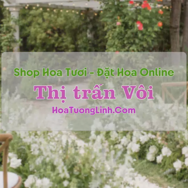 Shop Hoa Tươi Thị Trấn Vôi - Bắc Giang