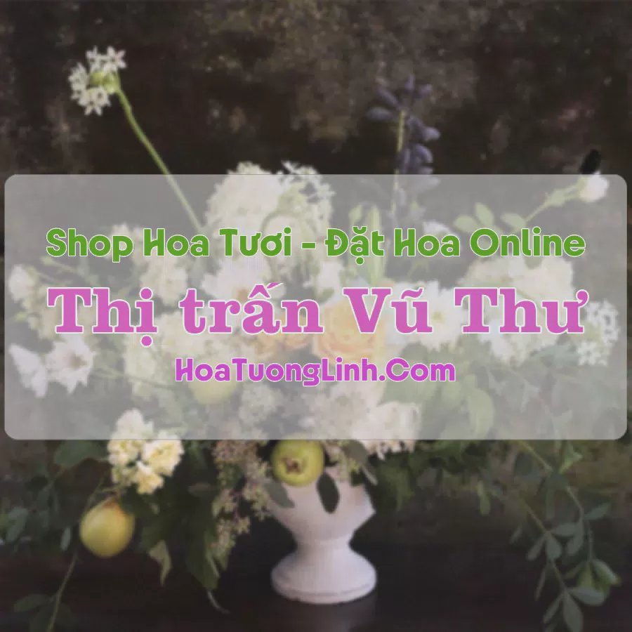 Shop Hoa Tươi Thị Trấn Vũ Thư - Thái Bình