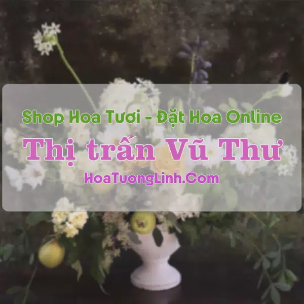 Shop Hoa Tươi Thị Trấn Vũ Thư - Thái Bình