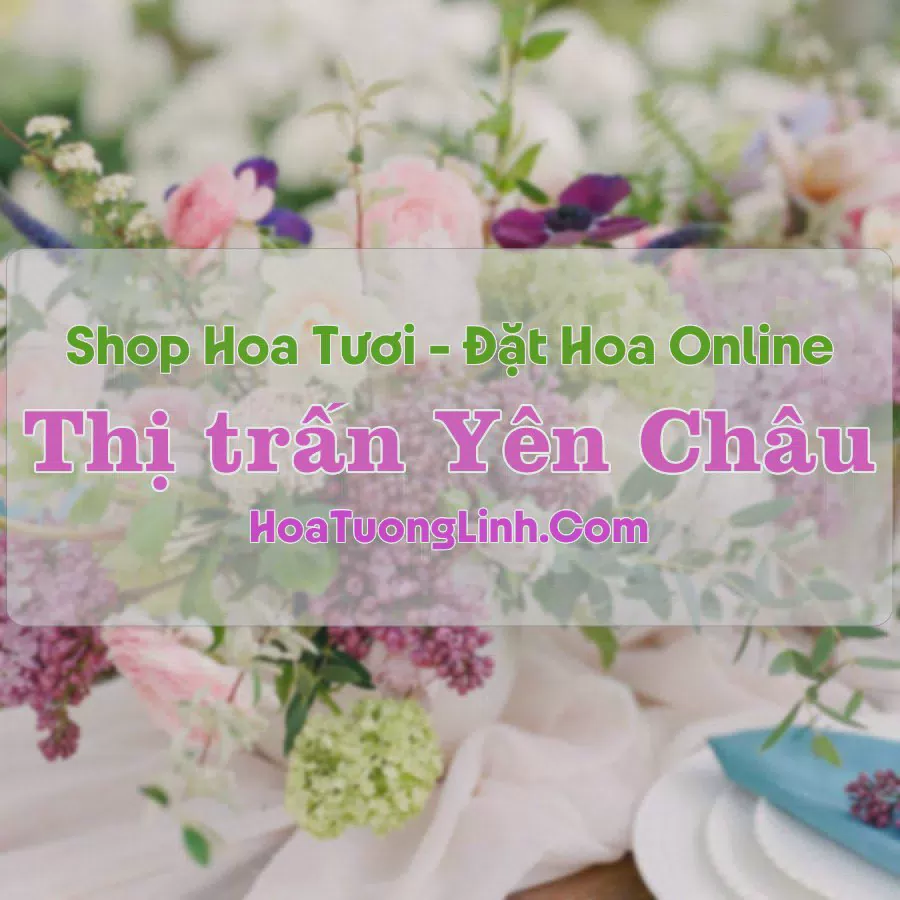 Shop Hoa Tươi Thị Trấn Yên Châu - Sơn La