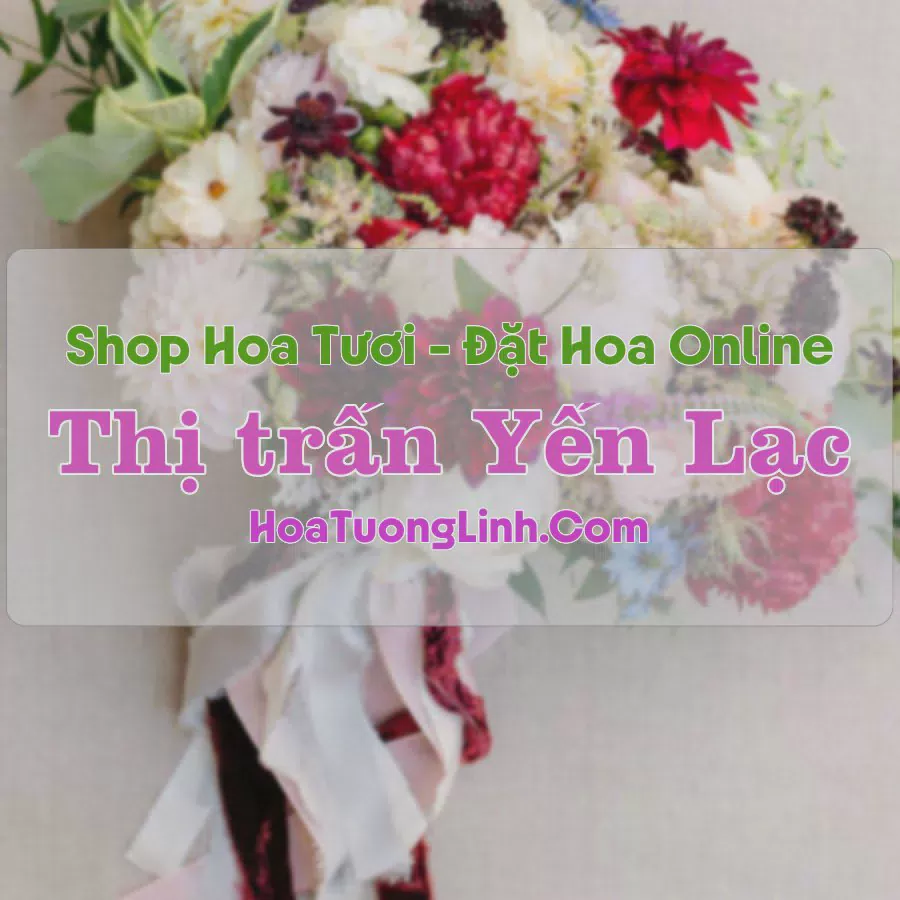 Shop Hoa Tươi Thị trấn Yến Lạc - Bắc Kạn