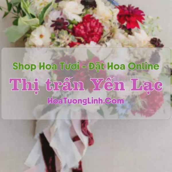 Shop Hoa Tươi Thị trấn Yến Lạc - Bắc Kạn