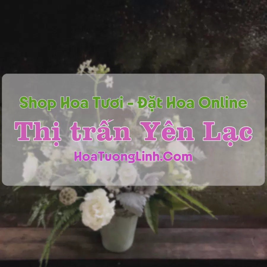 Shop Hoa Tươi Thị Trấn Yên Lạc - Vĩnh Phúc