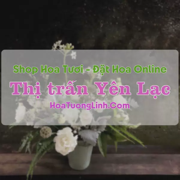 Shop Hoa Tươi Thị Trấn Yên Lạc - Vĩnh Phúc