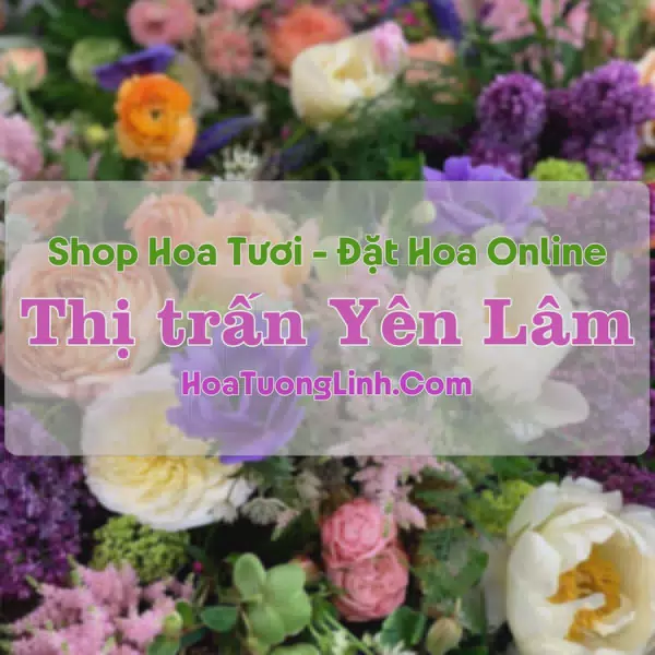 Shop Hoa Tươi Thị Trấn Yên Lâm - Thanh Hóa