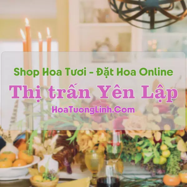 Shop Hoa Tươi Thị Trấn Yên Lập - Phú Thọ