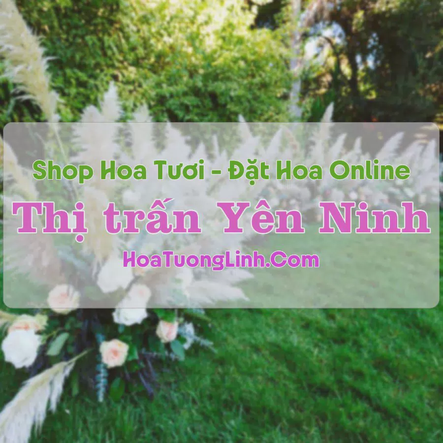 Shop Hoa Tươi Thị Trấn Yên Ninh - Ninh Bình