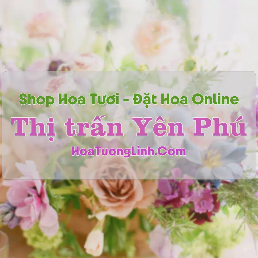 Shop Hoa Tươi Thị Trấn Yên Phú - Hà Giang
