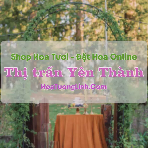 Shop Hoa Tươi Thị trấn Yên Thành - Nghệ An