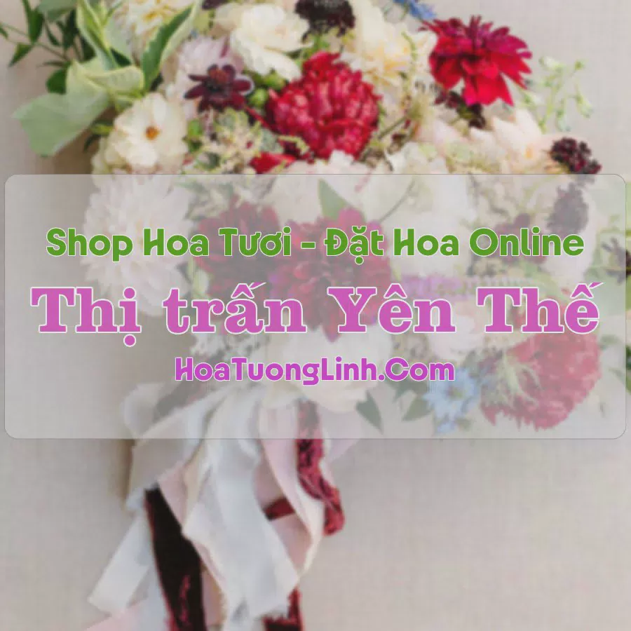 Shop Hoa Tươi Thị Trấn Yên Thế - Yên Bái