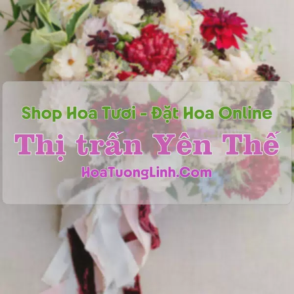 Shop Hoa Tươi Thị Trấn Yên Thế - Yên Bái