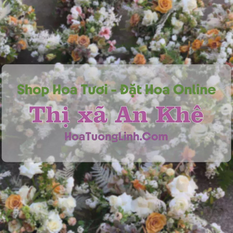 Shop Hoa Tươi Thị xã An Khê - Gia Lai
