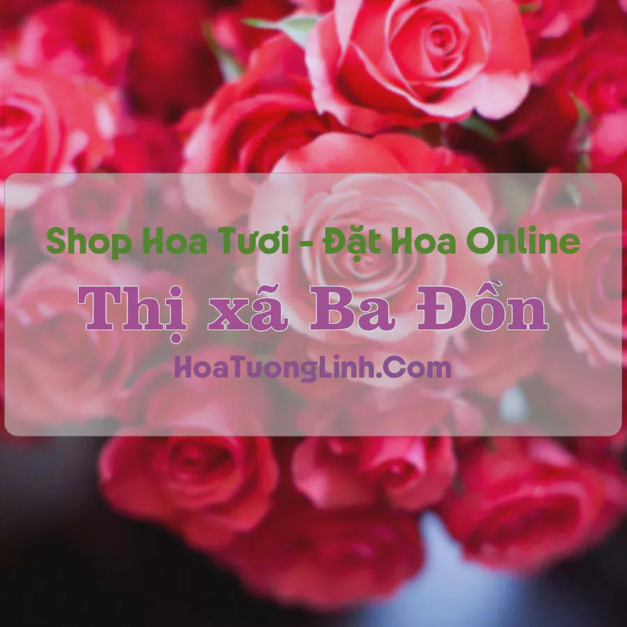 Shop Hoa Tươi Thị xã Ba Đồn - Quảng Bình