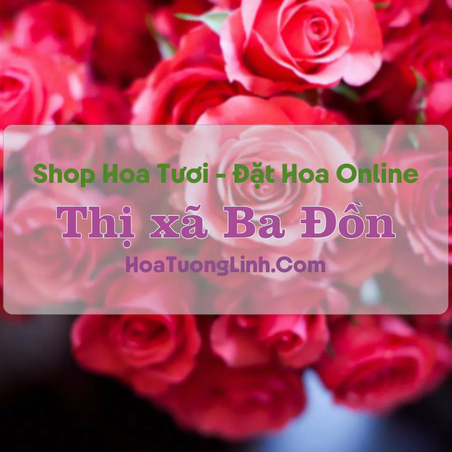 Shop Hoa Tươi Thị xã Ba Đồn – Quảng Bình