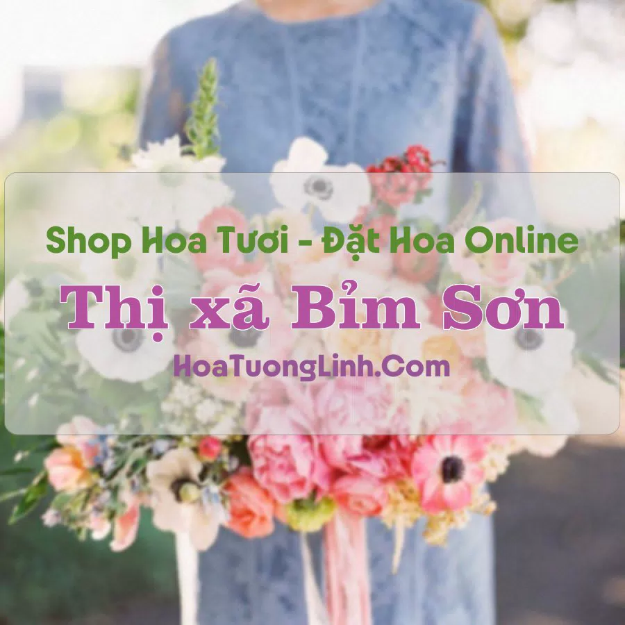 Shop Hoa Tươi Thị xã Bỉm Sơn – Thanh Hóa