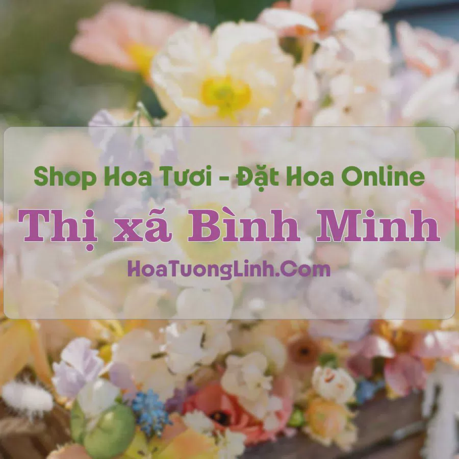 Shop Hoa Tươi Thị xã Bình Minh - Vĩnh Long