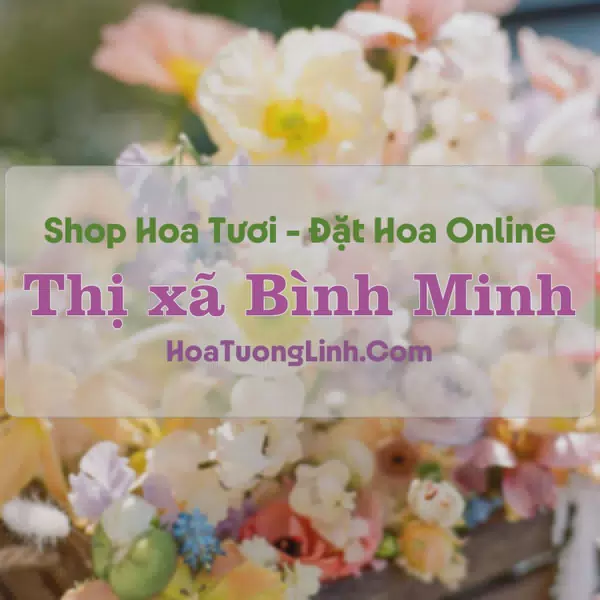Shop Hoa Tươi Thị xã Bình Minh - Vĩnh Long