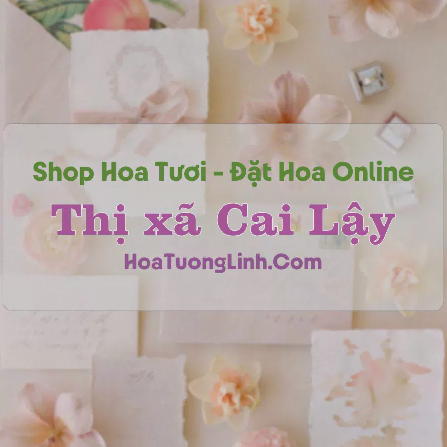Shop Hoa Tươi Thị xã Cai Lậy - Tiền Giang