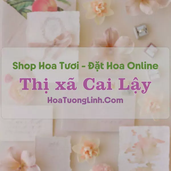 Shop Hoa Tươi Thị xã Cai Lậy - Tiền Giang