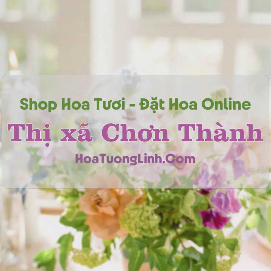 Shop Hoa Tươi Thị xã Chơn Thành - Bình Phước