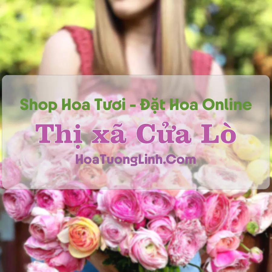 Shop Hoa Tươi Thị xã Cửa Lò – Nghệ An