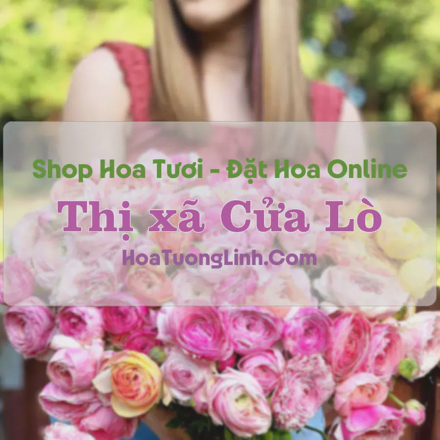 Shop Hoa Tươi Thị xã Cửa Lò - Nghệ An