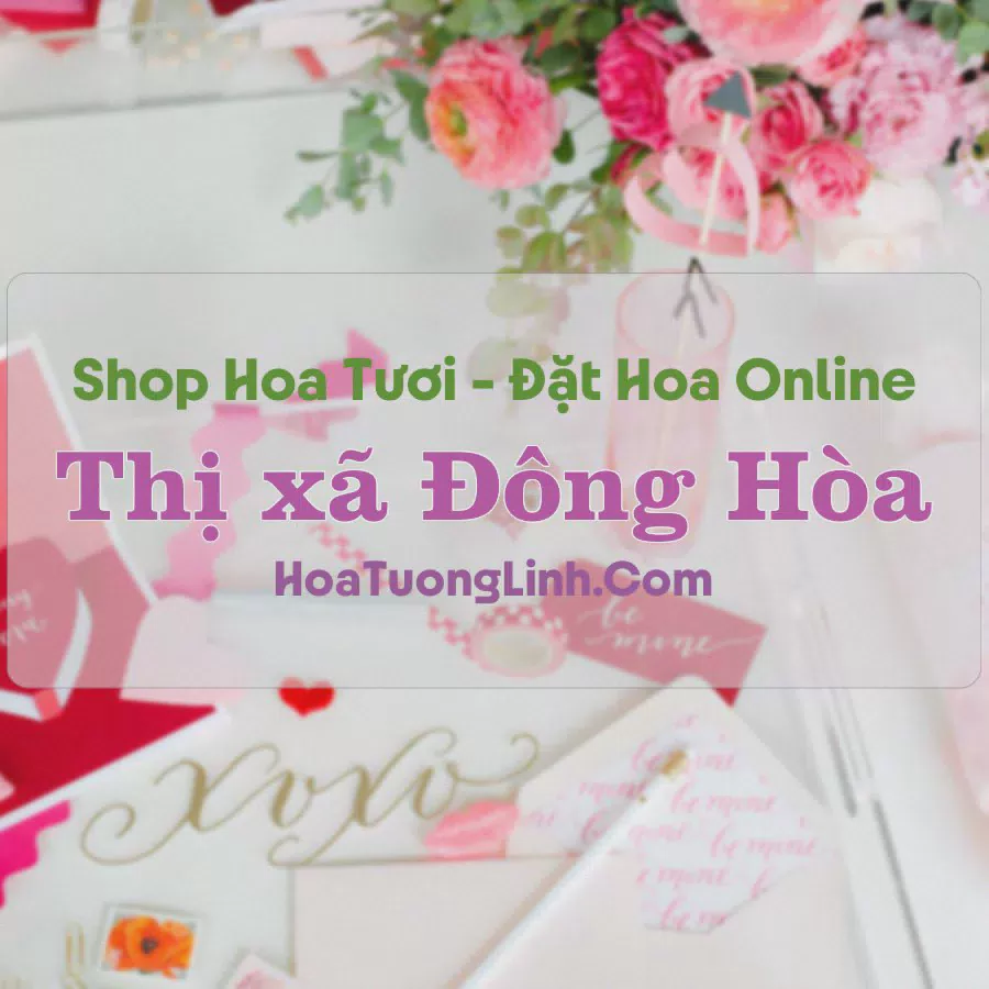 Shop Hoa Tươi Thị xã Đông Hòa - Phú Yên