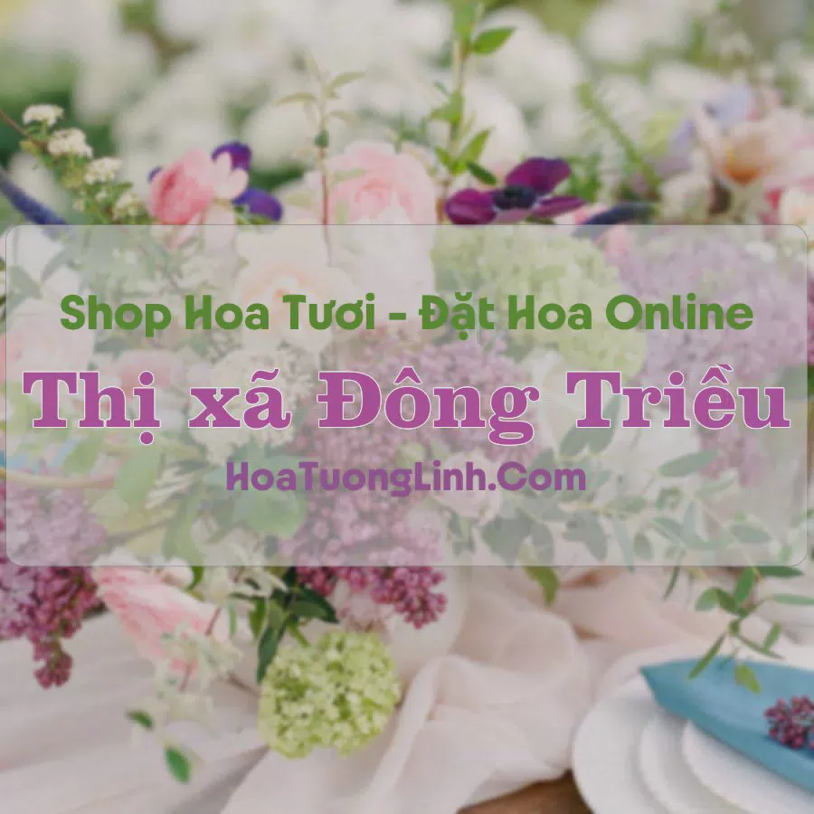 Shop Hoa Tươi Thị Xã Đông Triều - Quảng Ninh