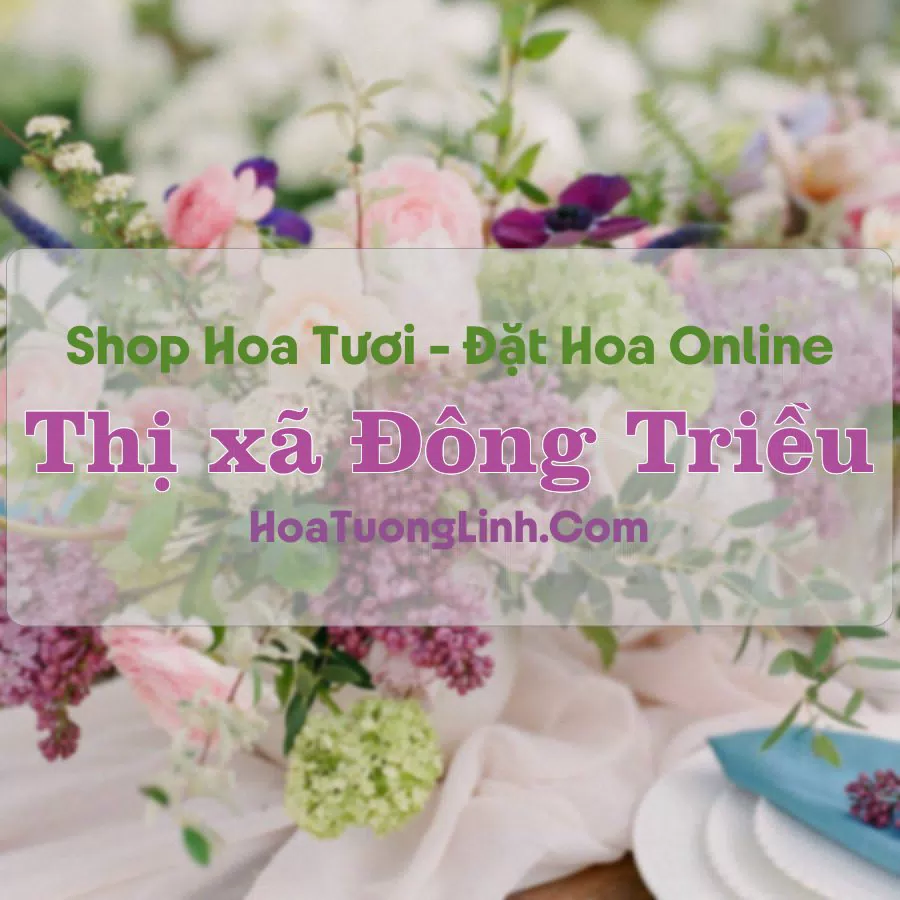 Shop Hoa Tươi Thị Xã Đông Triều - Quảng Ninh