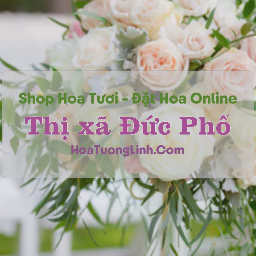 Shop Hoa Tươi Thị Xã Đức Phổ - Quảng Ngãi