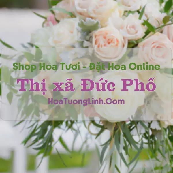 Shop Hoa Tươi Thị Xã Đức Phổ - Quảng Ngãi