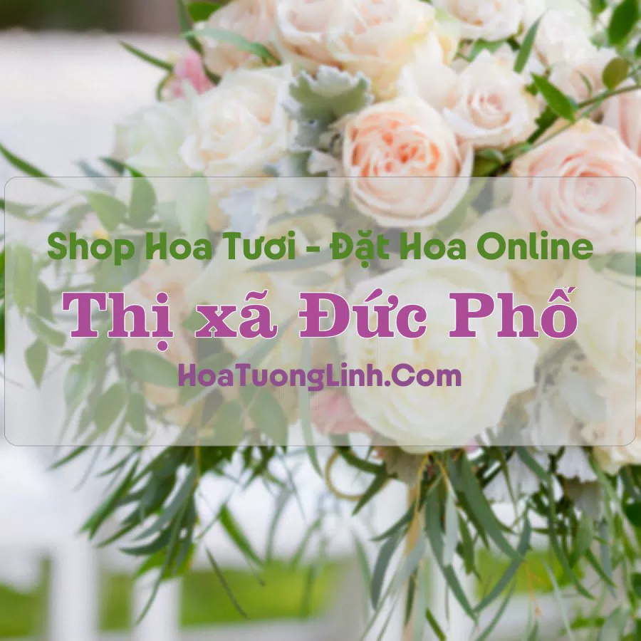 Shop Hoa Tươi Thị Xã Đức Phổ – Quảng Ngãi