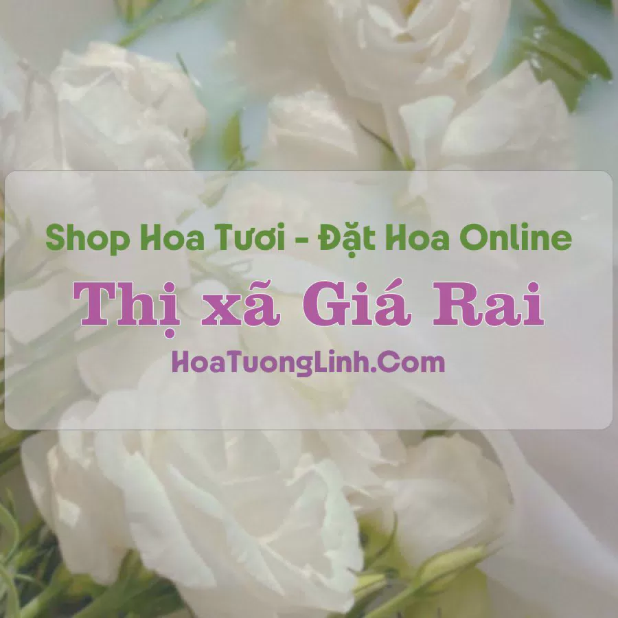 Shop Hoa Tươi Thị xã Giá Rai - Bạc Liêu