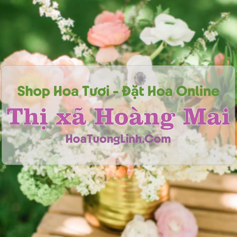 Shop Hoa Tươi Thị xã Hoàng Mai – Nghệ An