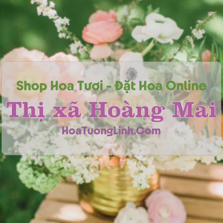 Shop Hoa Tươi Thị xã Hoàng Mai - Nghệ An