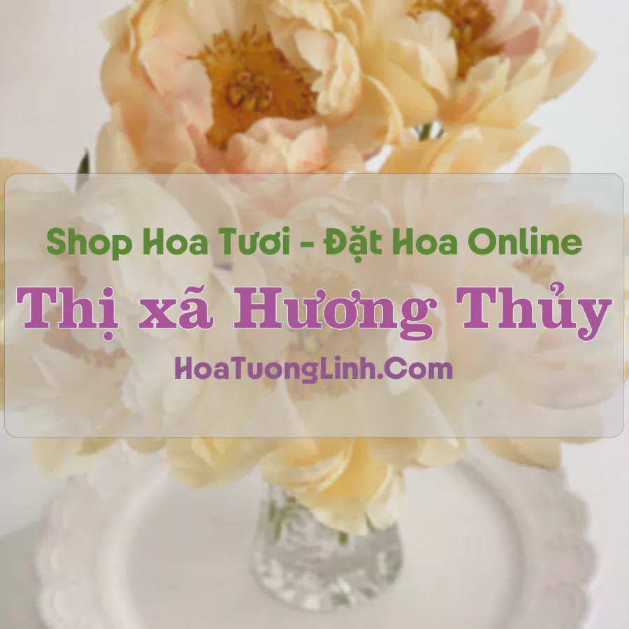Shop Hoa Tươi Thị xã Hương Thủy - Huế