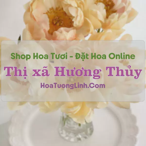 Shop Hoa Tươi Thị xã Hương Thủy - Huế