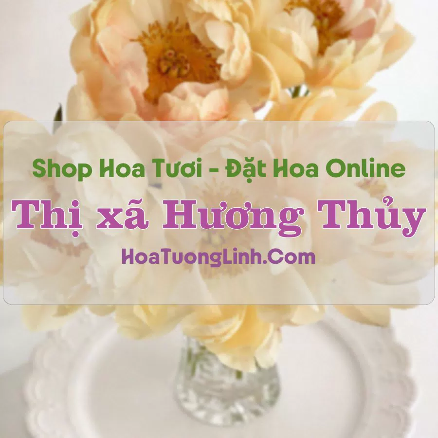 Shop Hoa Tươi Thị xã Hương Thủy – Huế