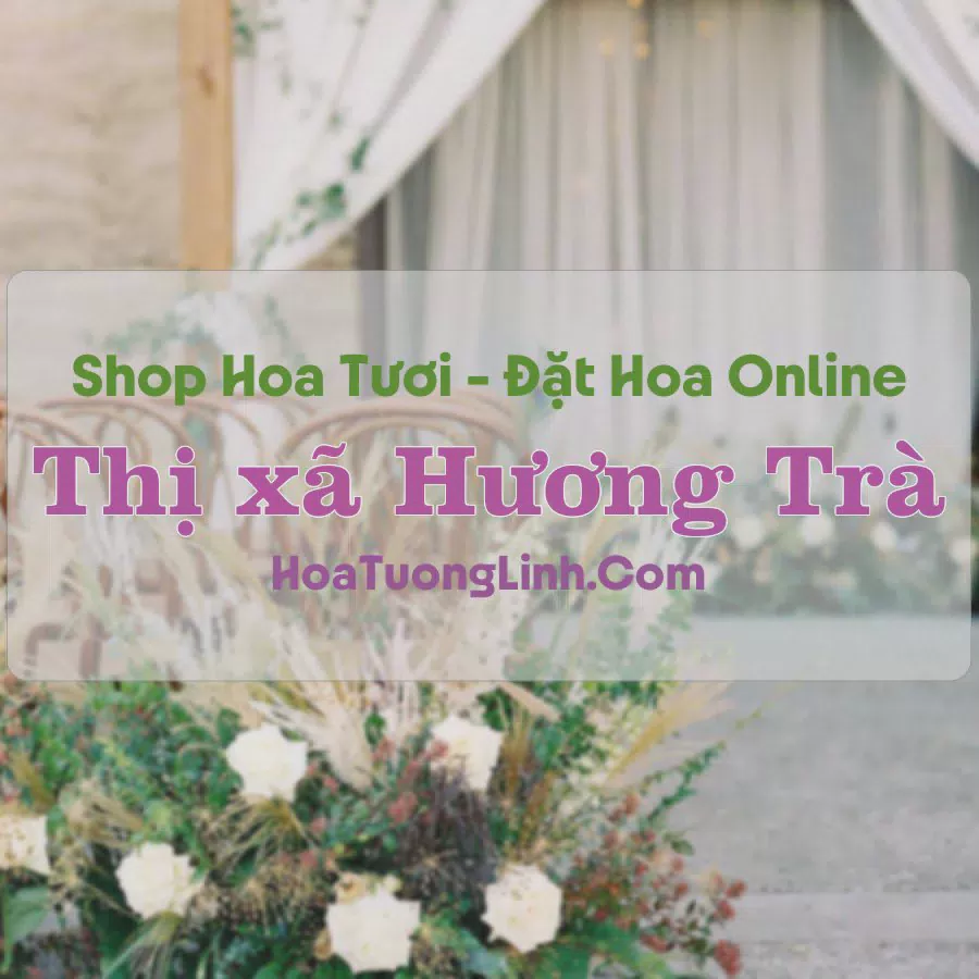 Shop Hoa Tươi Thị Xã Hương Trà - Huế