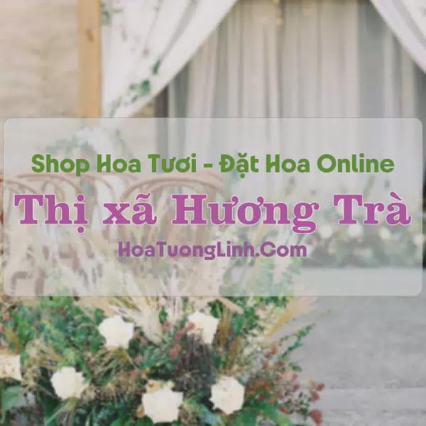 Shop Hoa Tươi Thị Xã Hương Trà - Huế