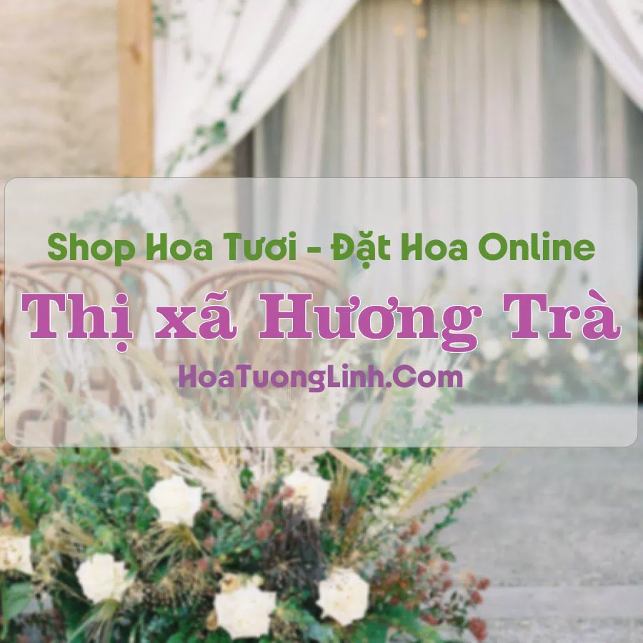 Shop Hoa Tươi Thị Xã Hương Trà – Huế