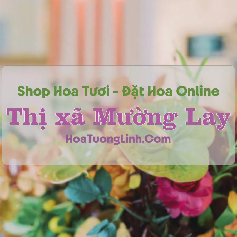Shop Hoa Tươi Thị Xã Mường Lay - Điện Biên