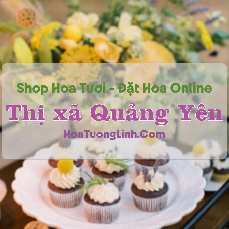 Shop Hoa Tươi Thị Xã Quảng Yên - Quảng Ninh