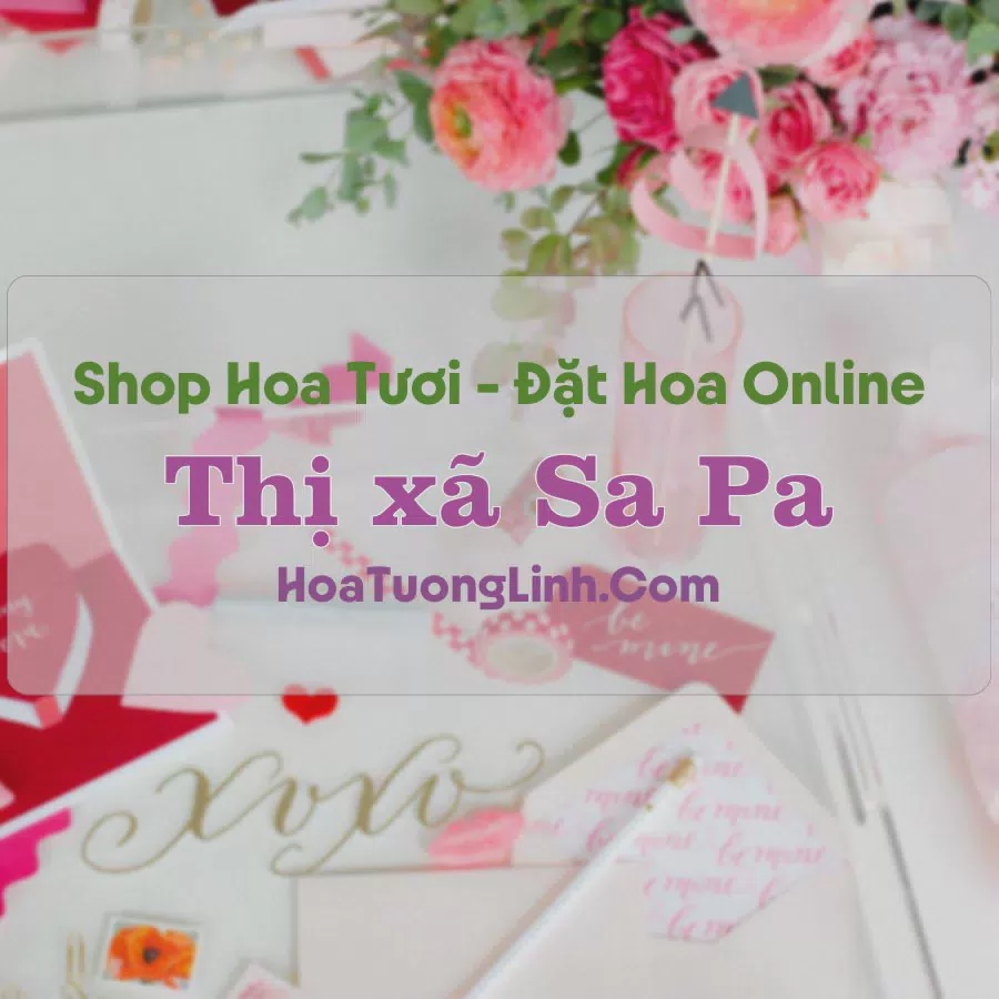 Shop Hoa Tươi Thị Xã Sa Pa - Lào Cai