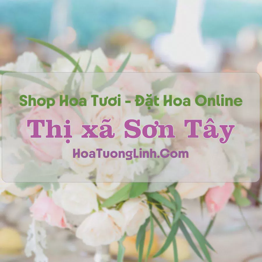 Shop Hoa Tươi Thị Xã Sơn Tây - Hà Nội