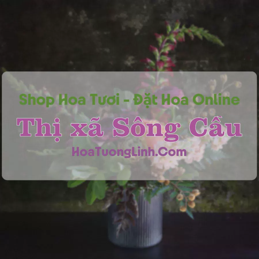 Shop Hoa Tươi Thị xã Sông Cầu - Phú Yên