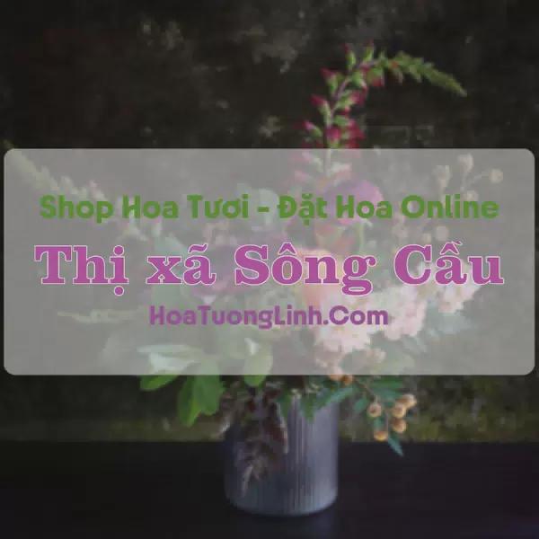 Shop Hoa Tươi Thị xã Sông Cầu - Phú Yên